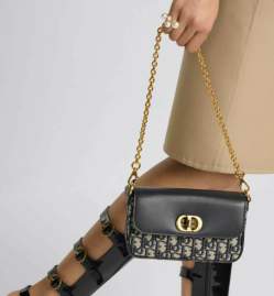 Picture of Dior Handbags _SKUfw239332507fw